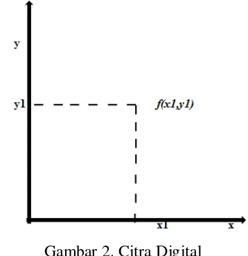 Gambar 2. Citra Digital 