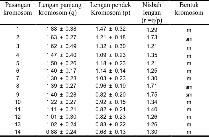 Tabel  6. Bentuk kromosom salak Bali (Salacca. zalacca Var. Amboinensis(Becc.) Mogea).