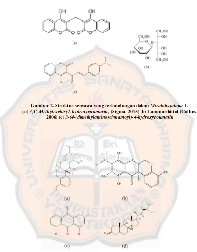 Gambar 2. Struktur senyawa yang terkandungan dalam Mirabilis jalapa L. 