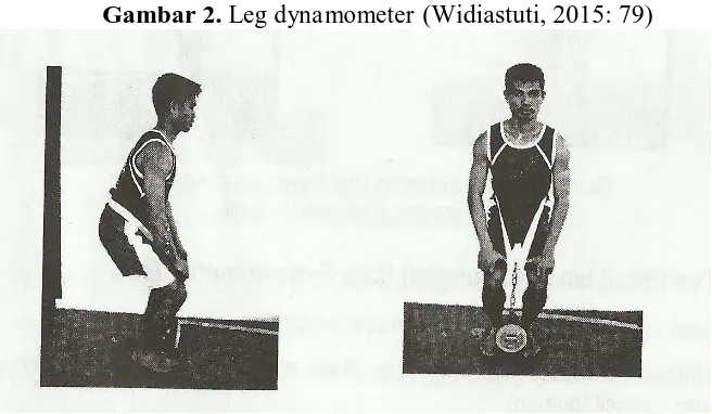 Gambar 2. Leg dynamometer (Widiastuti, 2015: 79) 