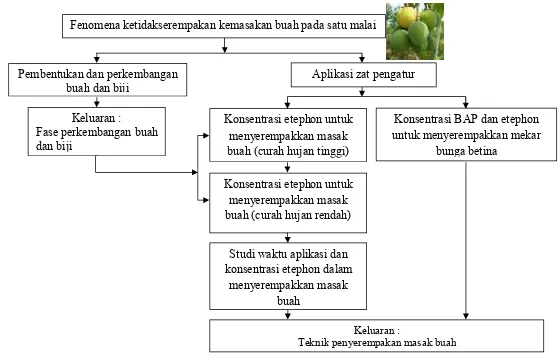 Gambar 1 Bagan alir metodologi penelitian