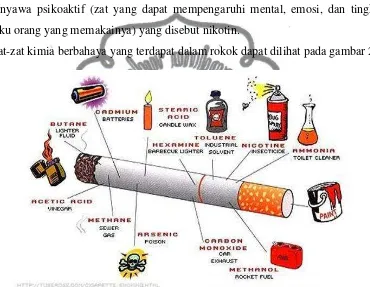 Gambar 2. Kandungan Bahan Kimia dalam Rokok 