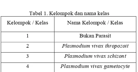 Tabel 1. Kelompok dan nama kelas 