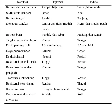 Tabel 1. Perbedaan Botani antara Japonica dan Indica 