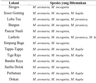 Gambar 8. Sampel Desa Sirogos, Kab. Humbang Hasundutan (1) M. arenaria        (2) M. Incognita
