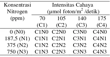 Tabel 1 Kombinasi perlakuan faktorial 4 x 4 dari empat taraf konsentrasi nitrogen dan empat taraf intensitas cahaya