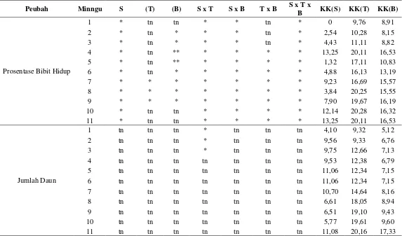 Tabel 1. Rekapitulasi hasil analisis sidik ragam pengaruh jenis sagu (S), tinggi indukan sagu (T), bobot bibit (B), interaksi SxT, SxB,TxB dan SxTxB terhadap prosentase kehidupan bibit, jumlah daun, panjang daun 1, panjang daun 2, panjang daun 3, jumlahanak daun 1, jumlah anak daun 2 dan jumlah anak daun 3.