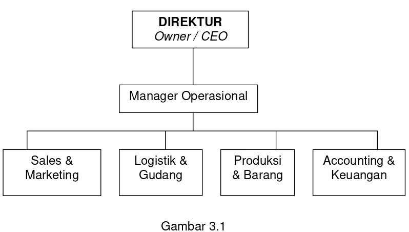 Gambar 3.1 Struktur organisasi CV SPM (Shindo Pratama Mandiri) 