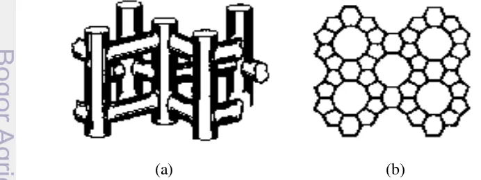 Gambar 1 Struktur ZSM-5 (a) Tampak Samping; (b) Tampak Atas. 