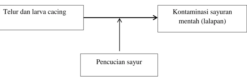Gambar 3.1 Kerangkap konsep penelitian 