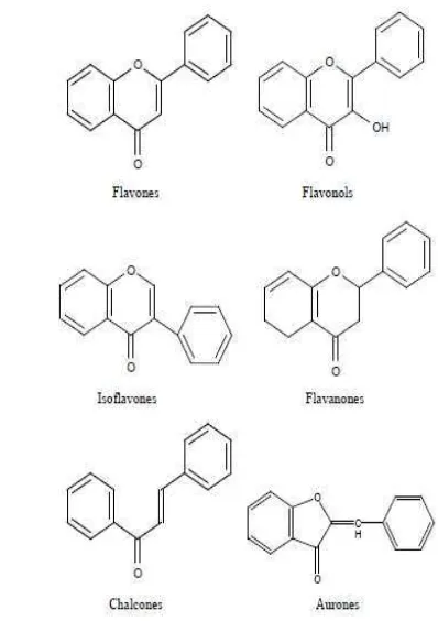 Gambar 2  Jenis-Jenis Flavonoid  