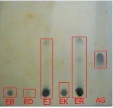 Tabel 1. Hasil organoleptis  dan rendemen 