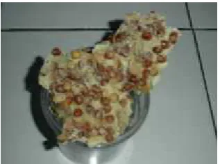 Gambar 11. Peyek kedelai