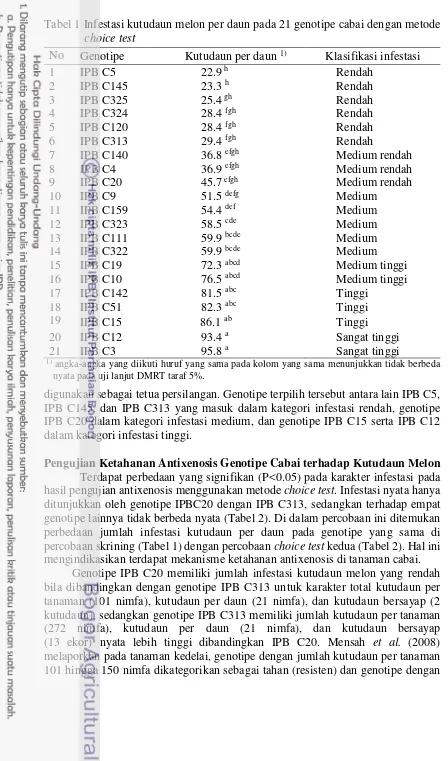 Tabel 1 Infestasi kutudaun melon per daun pada 21 genotipe cabai dengan metode  