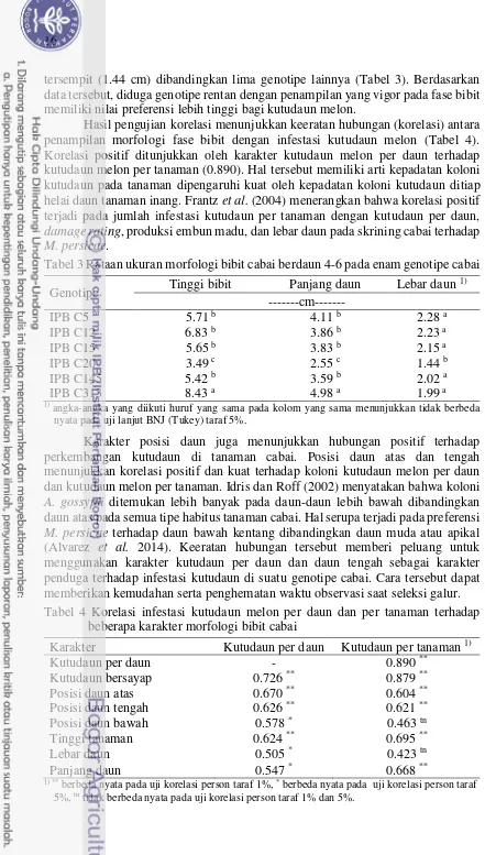 Tabel 3 Rataan ukuran morfologi bibit cabai berdaun 4-6 pada enam genotipe cabai 