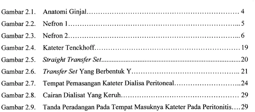 Gambar 2.1.Anatomi Ginjal