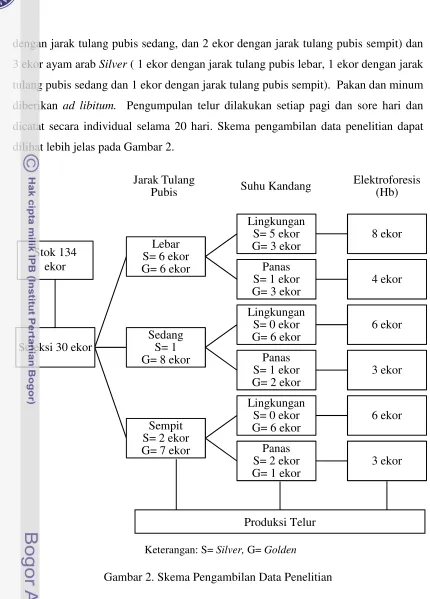 Gambar 2. Skema Pengambilan Data Penelitian