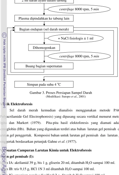 Gambar 3. Proses Persiapan Sampel Darah