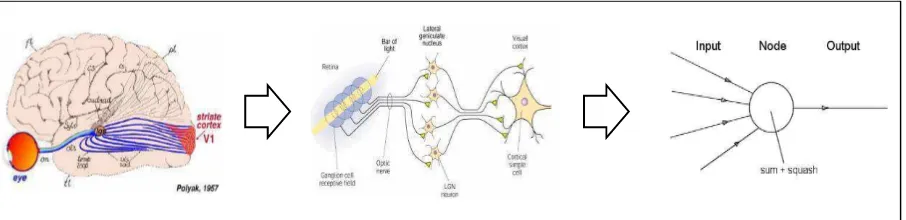 Gambar 2.4. Diagram Jaringan Syaraf Buatan 