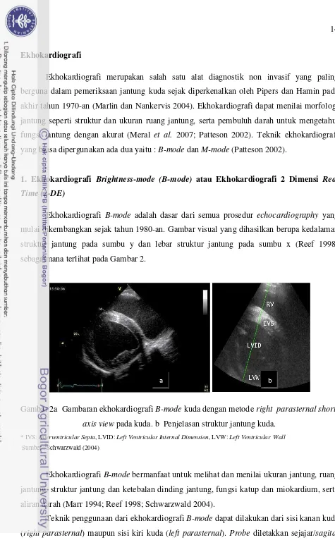 Gambar 2a  Gambaran ekhokardiografi B-mode kuda dengan metode right  parasternal short  