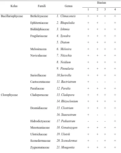 Tabel 4.1 Klasifikasi fitoplankton yang diperoleh pada setiap stasiun 