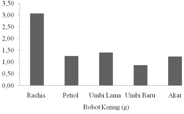 Gambar 10. Bobot Kering Panen Destruktif pada 8 MST  