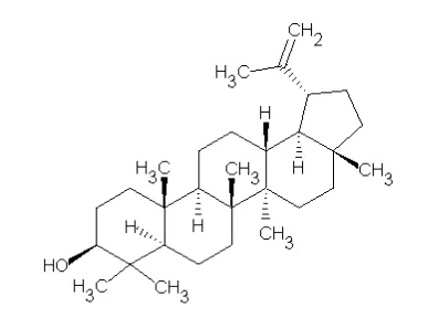 Gambar 2.2. Rumus Bangun Lupeol (R&D Chemicals, 2010) 