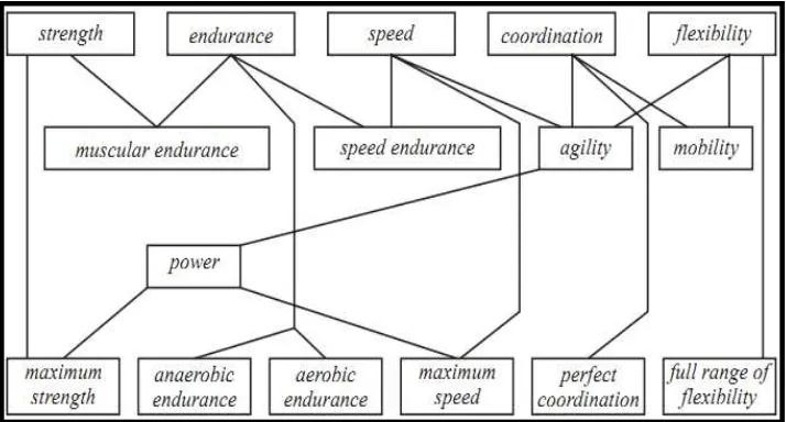 Gambar 1. Ilustrasi Keterkaitan di Antara Kemampuan Biomotorik                            (Sumber: Bompa, 1994: 34) 