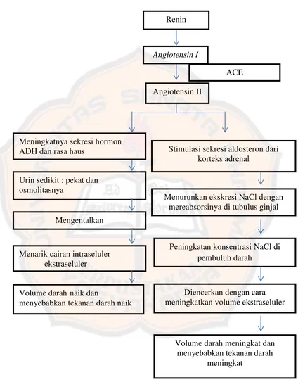 Gambar 1. Patofisiologi hipertensi Price and Wilson, 2005 