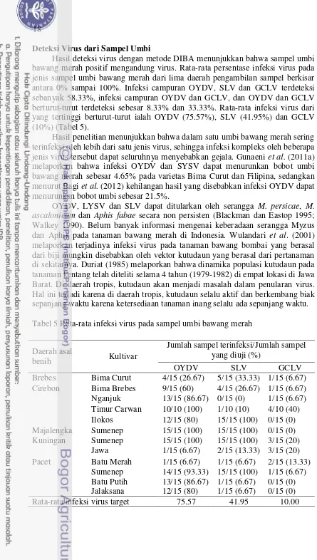 Tabel 5 Rata-rata infeksi virus pada sampel umbi bawang merah 