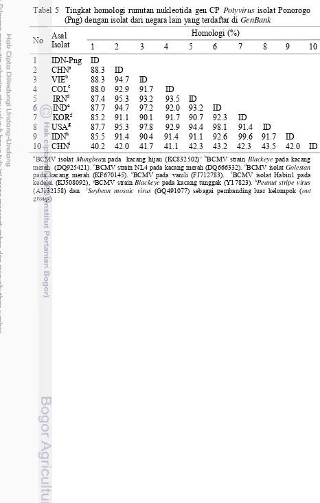 Tabel 5  Tingkat homologi runutan nukleotida gen CP Potyvirus isolat Ponorogo (Png) dengan isolat dari negara lain yang terdaftar di GenBank 