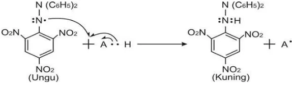 Gambar 1. Reaksi DPPH dan Antioksidan (Yamaguchi et al., 1998) 