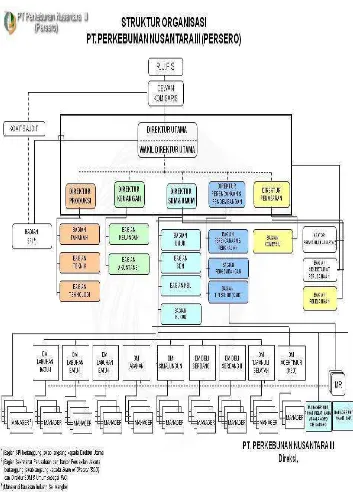 Gambar 2.1 Struktur Organisasi PTPN III 