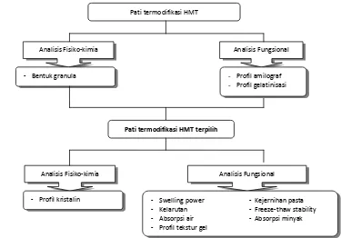 Gambar 11. Diagram alir tahapan analisis pati termodifikasi HMT 