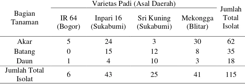 Tabel 5 Jumlah isolat cendawan endofit asal tanaman padi dari beberapa daerah 