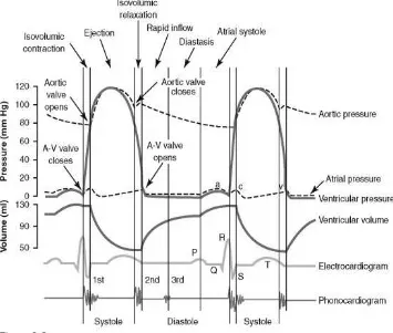Figure  8. Electrocardiograph lead vectors. Taken from Goldberger and Mirvis (2015)6