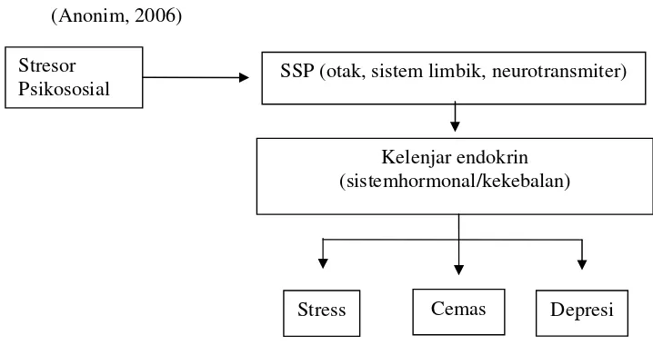 Gambar 1. Mekanisme terjadinya stress dan depresi. (Hawari, 2004).