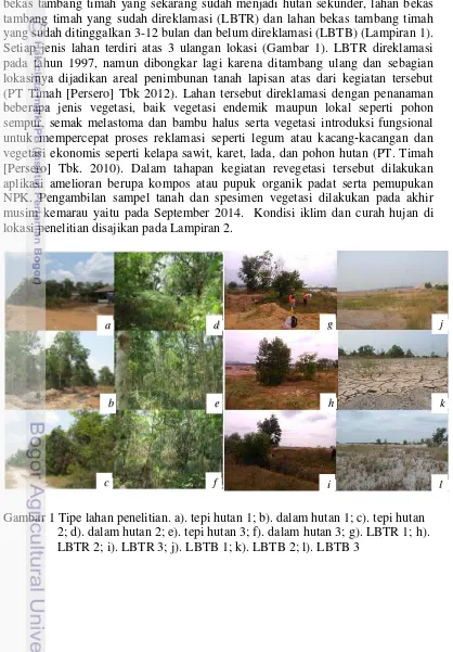 Gambar 1 Tipe lahan penelitian. a). tepi hutan 1; b). dalam hutan 1; c). tepi hutan 
