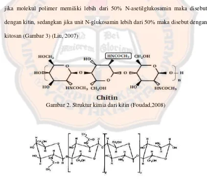 Gambar 2. Struktur kimia dari kitin (Foudad,2008) 
