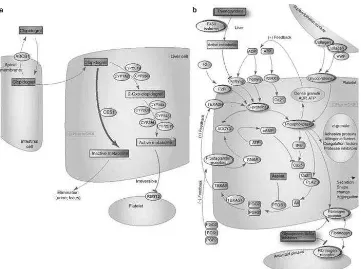 Figure 6. Clopidogrel mechanism and the role of genetic factors