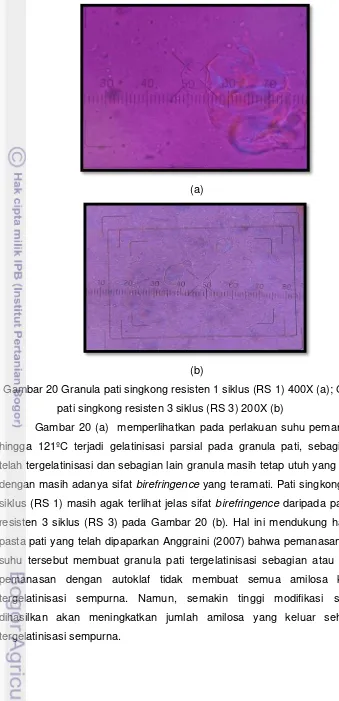Gambar 20 Granula pati singkong resisten 1 siklus (RS 1) 400X (a); Granula 