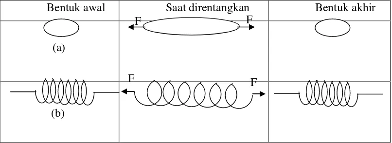 Gambar 2.1. (a) sifat elastis pada karet gelang. (b) sifat elastis pada pegas   