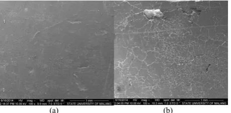 Figure 5. SEM immages of rPP-rubber composite coated paint under weather exposure for (a) 1 month, (b) 3 months