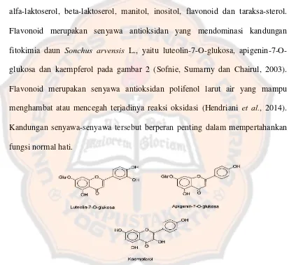 Gambar 2. Struktur Flavanoid (Luteolin-7-O-glukosa, Apigenin-7-O-glukosa dan Kaempferol) (Sofnie et al., 2003)
