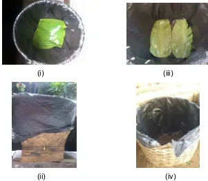 Gambar 3 Model wadah kecambah kacang hijau penelitian (i dan ii) dan model wadah kecambah kacang hijau petani (iii dan iv)