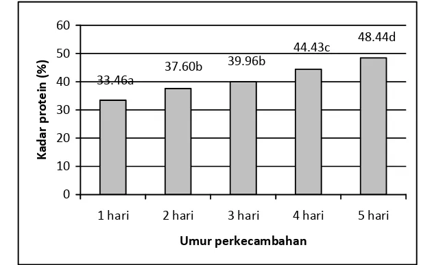 Gambar 6  Nilai rata-rata kadar protein (bk) kecambah kacang hijau. 