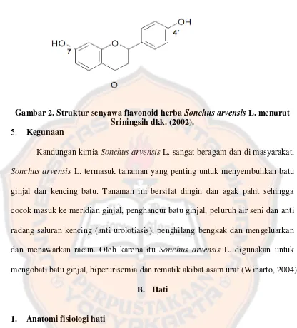 Gambar 2. Struktur senyawa flavonoid herba Sonchus arvensis L. menurut 