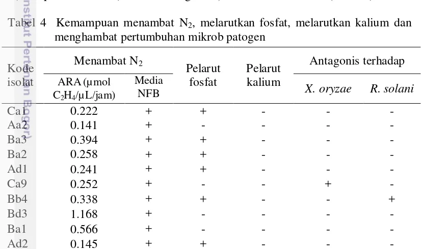 Tabel 4  Kemampuan menambat N2, melarutkan fosfat, melarutkan kalium dan 