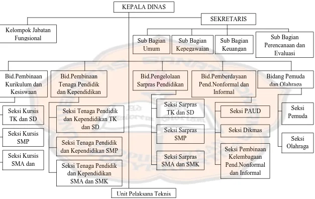 Gambar 4.2 : Struktur Organisasi Dinas Pendidikan Pemuda dan Olahraga (DISDIKPORA) Kabupaten Sleman  