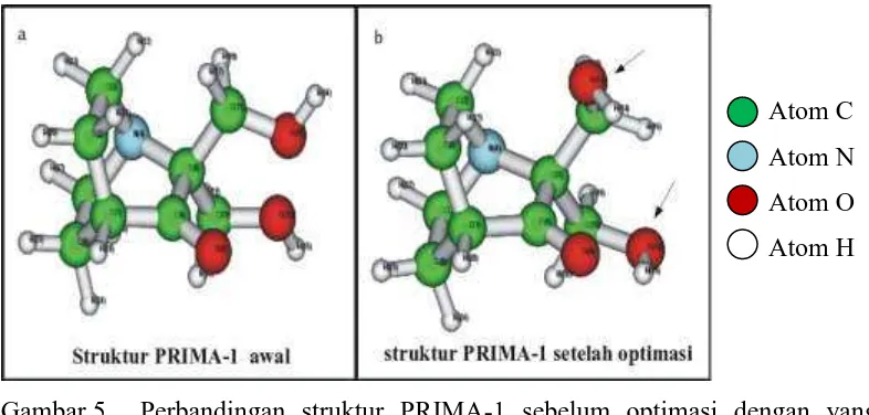 Gambar 4. Struktur PRIMA-1